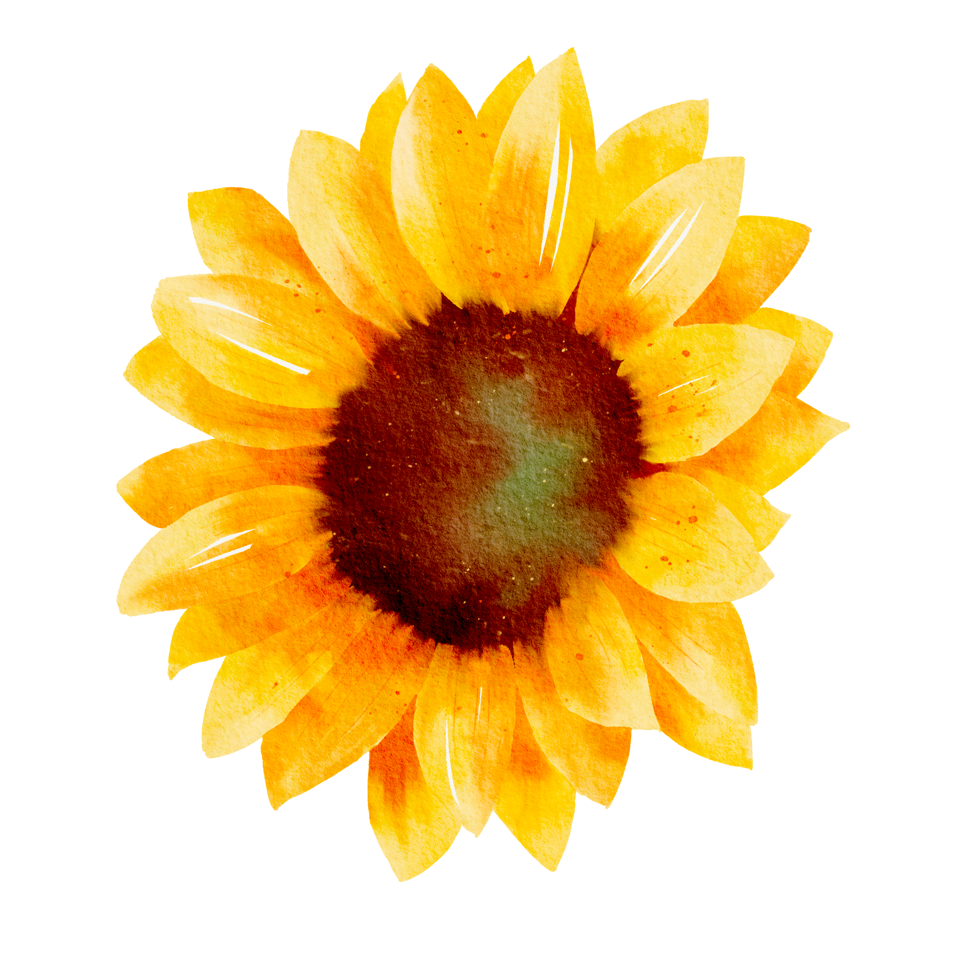 GIRASOL