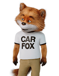 Stojący i uśmiechnięty CARFOX