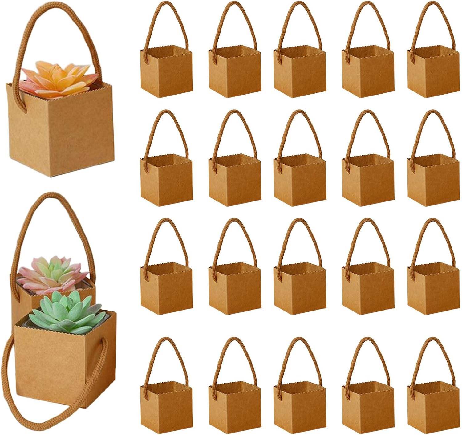 40 Piezas Bolsas De Regalo Suculentas, Maceta De Papel Para Plantas Suculentas, Mini Cajas De Suculenta