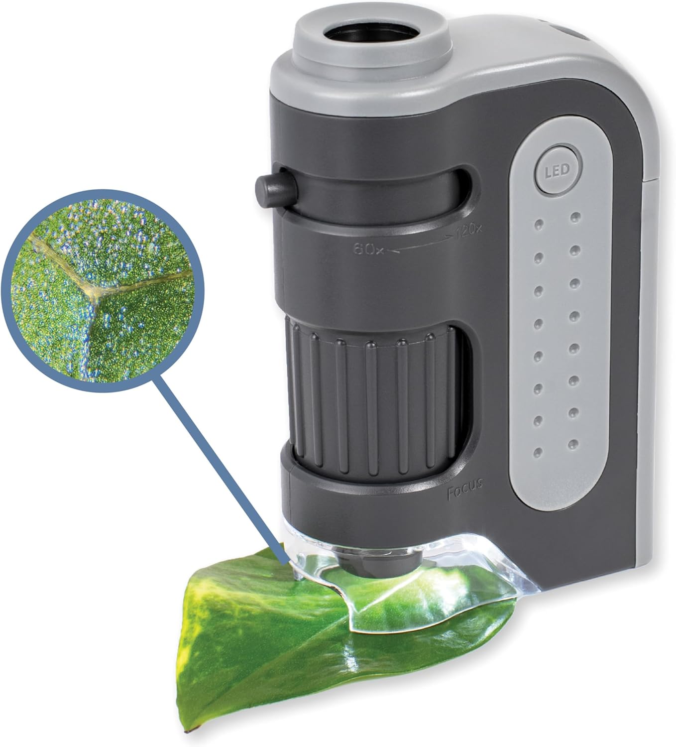 Microscopio de Bolsillo 60x - 120x, con iluminación LED