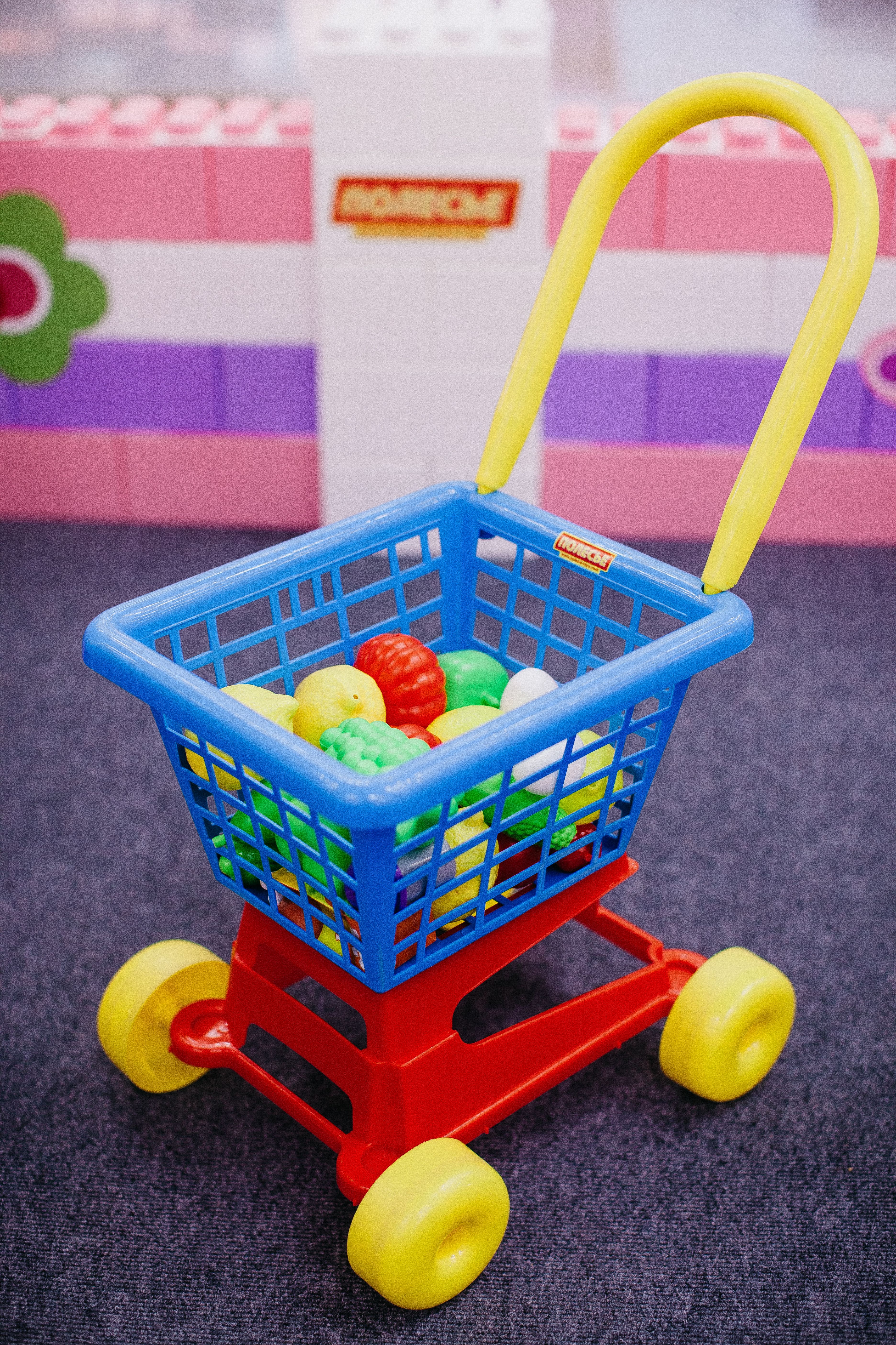 pexels-polesietoys-4491733