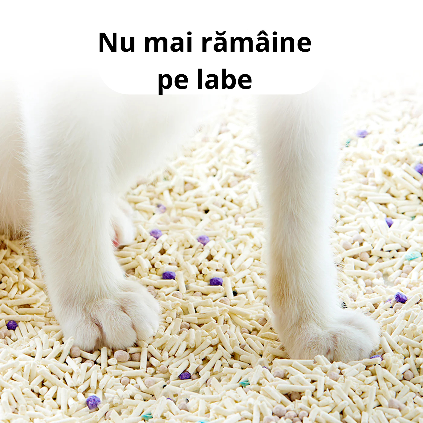 nisip care nu ramaine pe labe