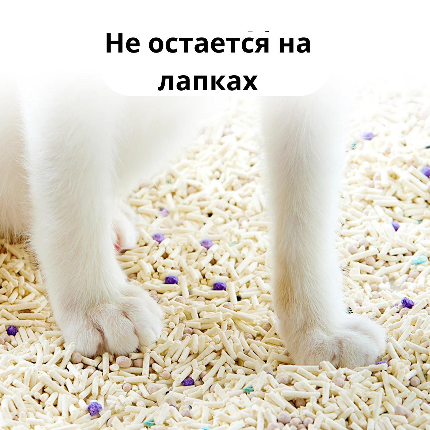 наполнитель который не прилипает к лапкам