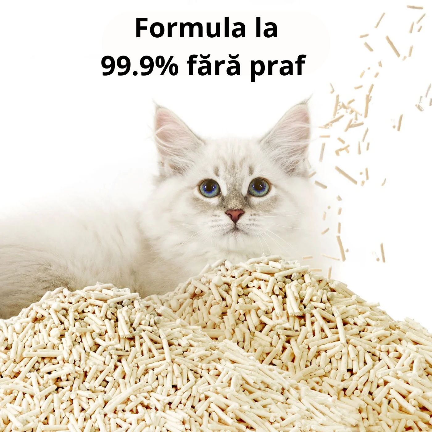 nisip pu litiera