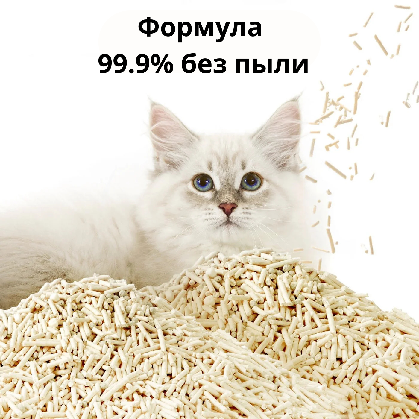 наполнитель для кошачьего лотка в кишиневе
