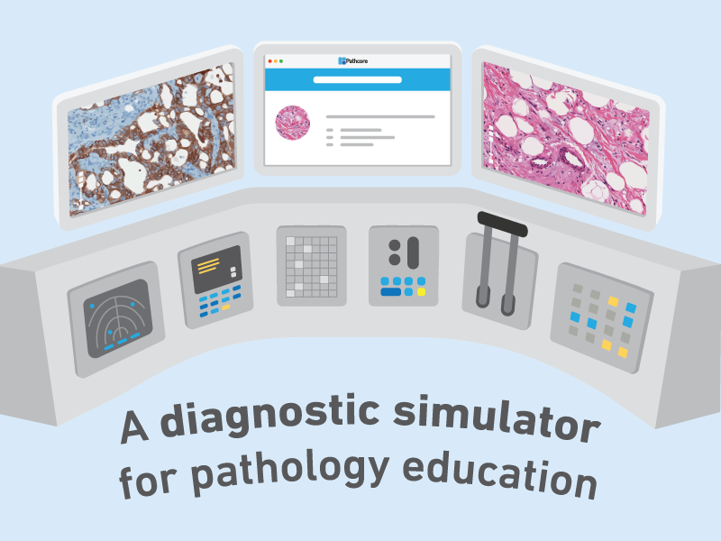 Standardized pathology education with a diagnostic simulator
