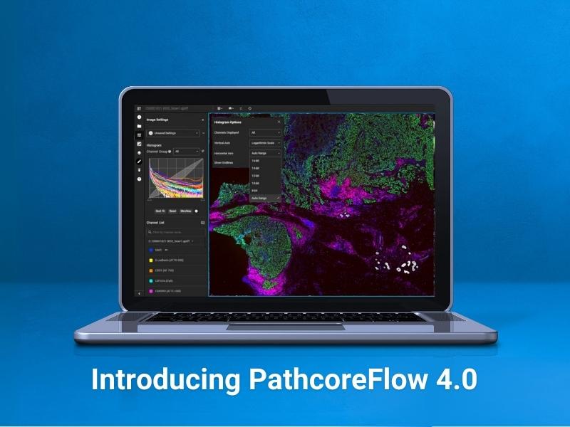 Accelerate spatial biology: PathcoreFlow™ 4.0 eliminates bottlenecks in multiplex IF imaging workflows