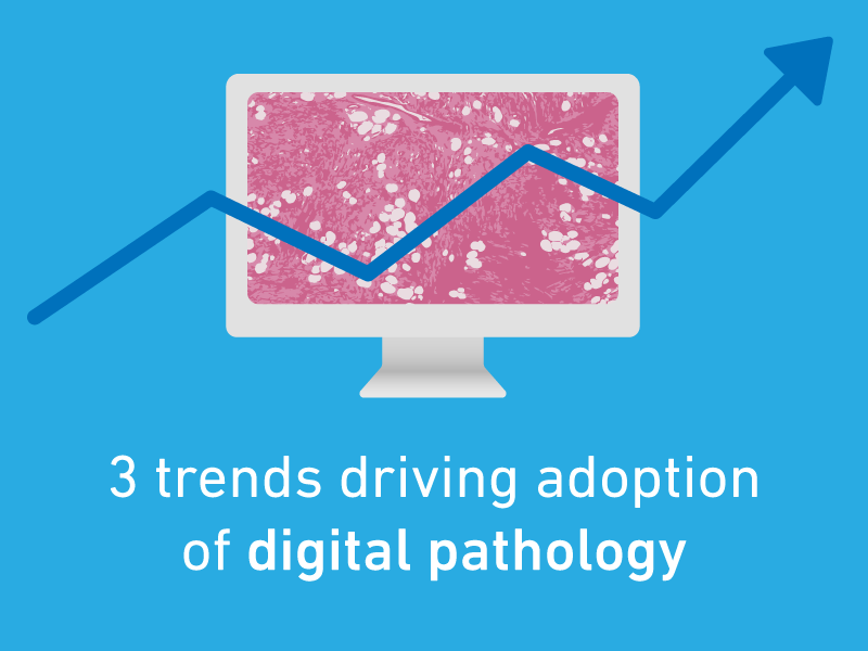3 Trends Driving Adoption of Digital Pathology 