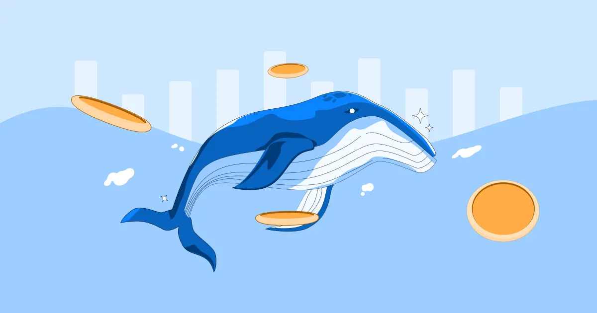Track Whale Trades on Flipster: Real-Time Insights into Top Crypto Traders