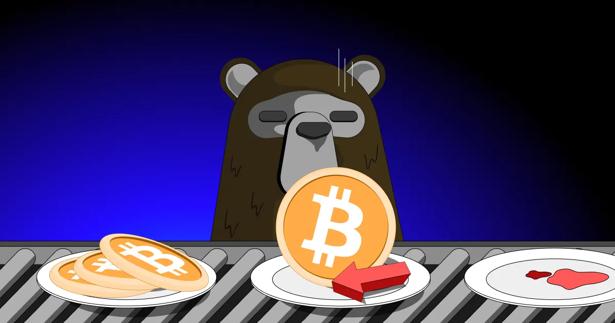 Bitcoin's Bear Market: Understanding the Recent Decline