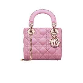 Dior Mini Bag