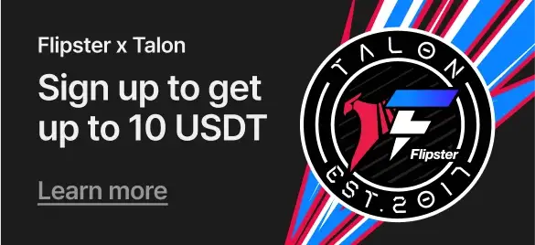 Flipster x Talon