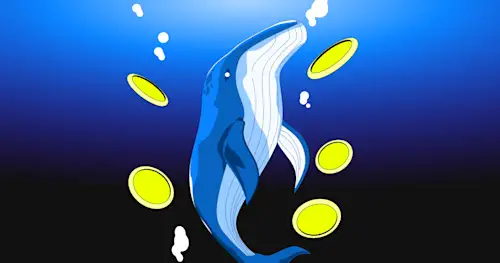 Bitcoin Holders: Shrimp, Dolphin, Whale & More