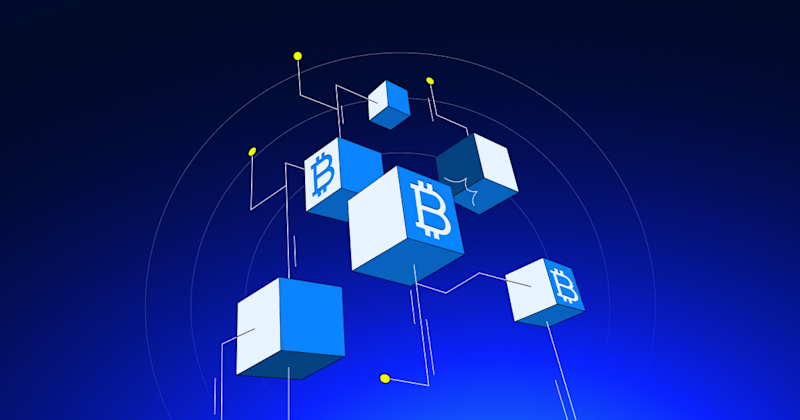 Node Coin What is a Node in Cryptocurrency? A Complete Guide | Flipster Blog