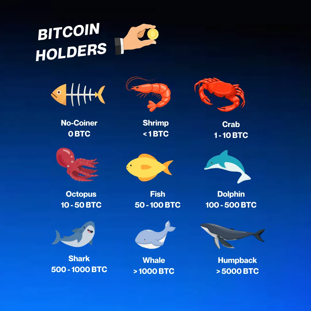 Bitcoin Holders