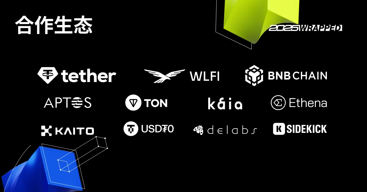 251231 Fb 2025wrapped 03