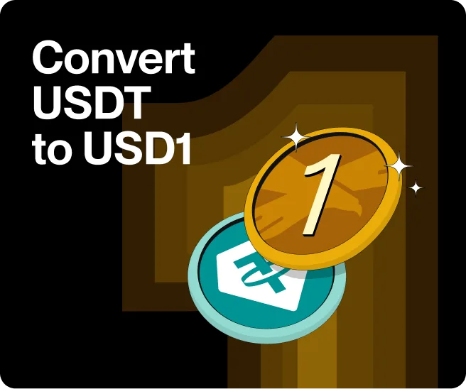 Convert to USD1