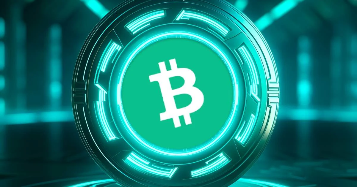 What Is Bitcoin Cash (BCH)?