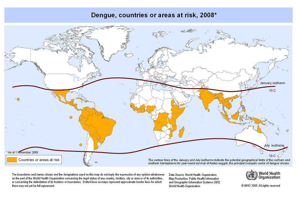 dengue figure 1