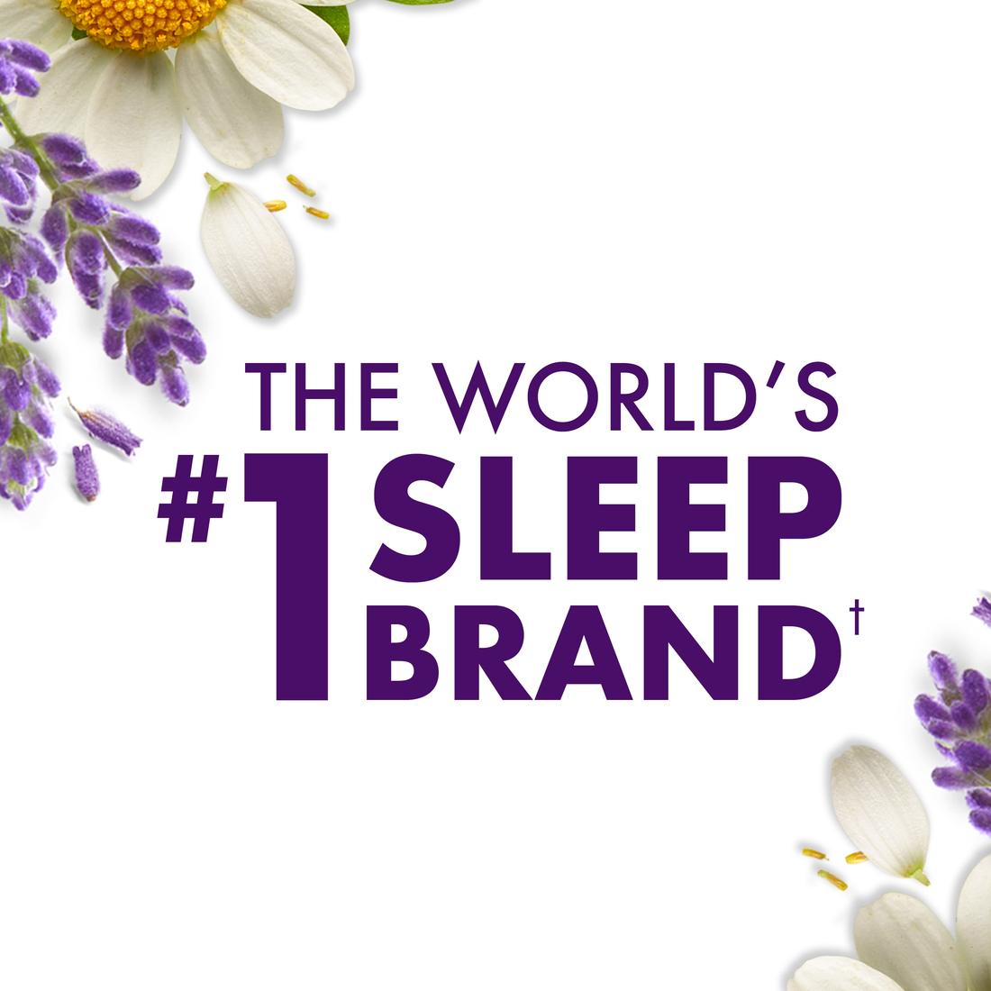 PURE Zzzs Liquid Melatonin Berry Flavored Sleep Aid | ZzzQuil