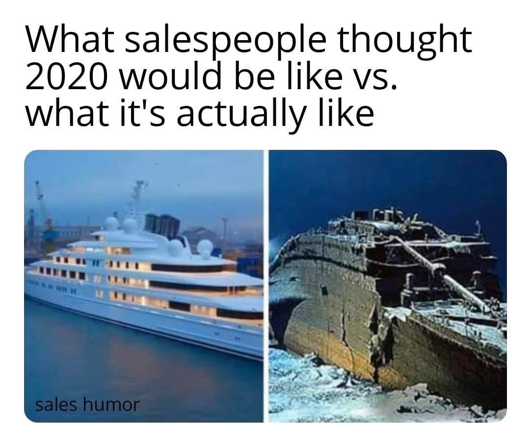 Dooly Sales Meme 20 - sales in 2020 reality vs what they thought