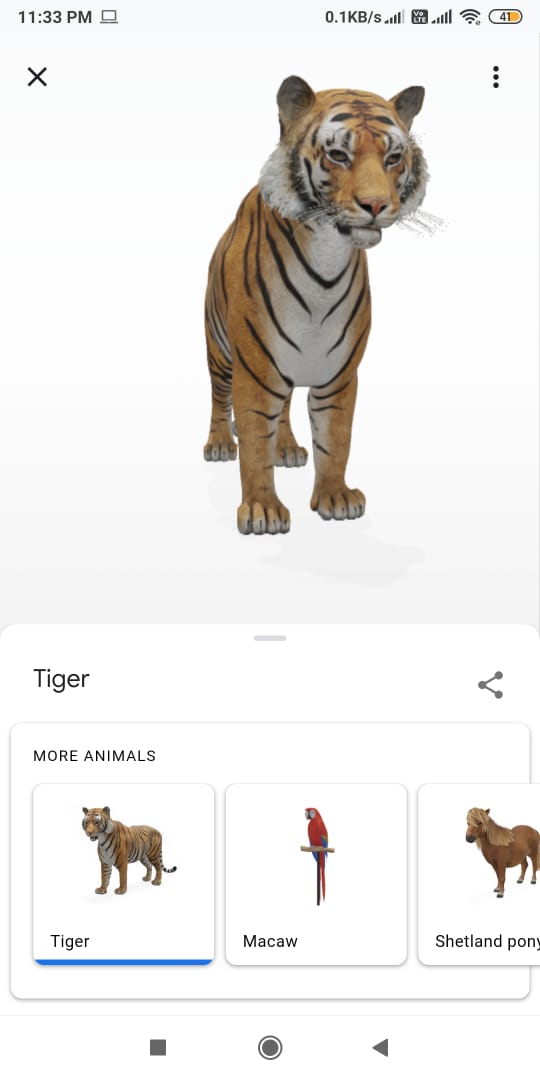 How to watch Google 3D animals like tiger view in 3D by