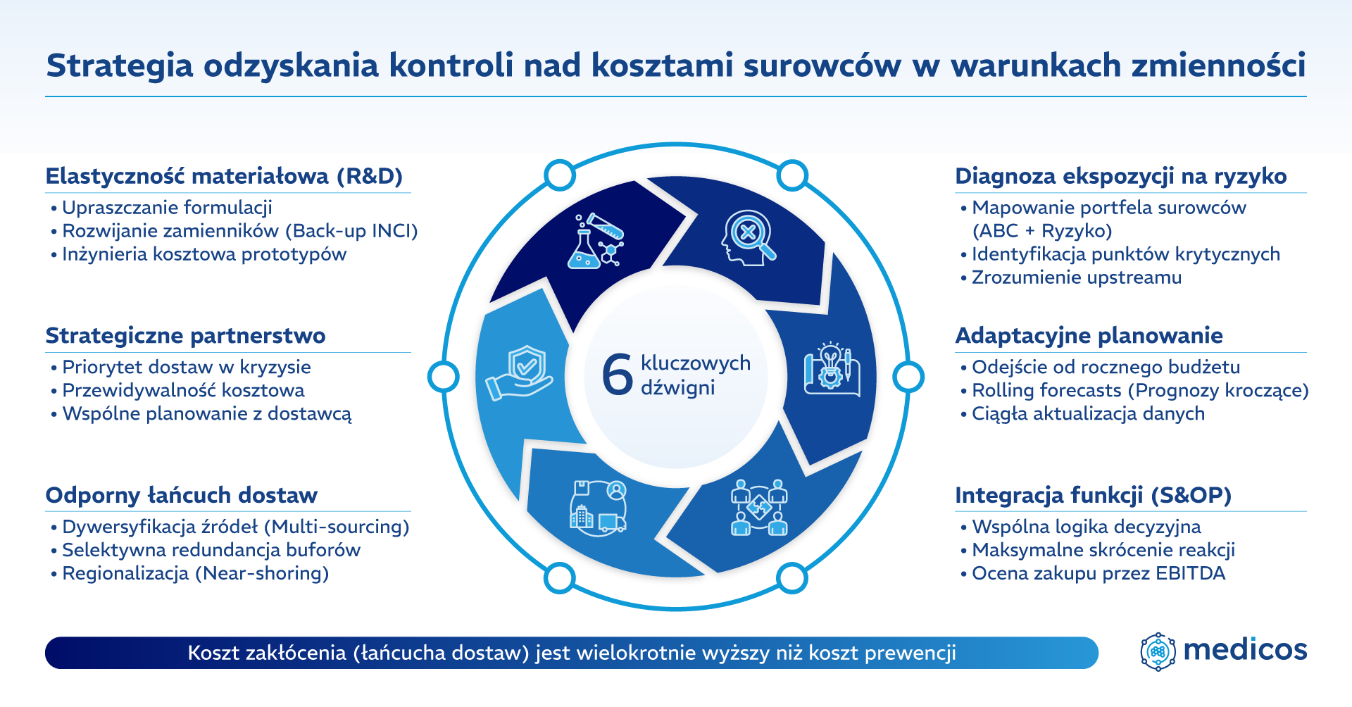 Schemat 6 dźwigni stabilizacji kosztów surowców, obejmujący m.in. odporny łańcuch dostaw i planowanie adaptacyjne.