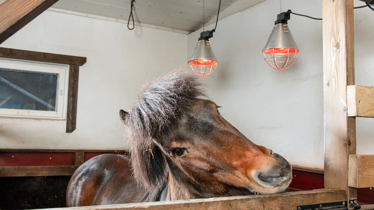 Tallimme on meidän näköisemme ja oloisemme. Oman elämämme unelmien työpaikka ja elämäntapamme.