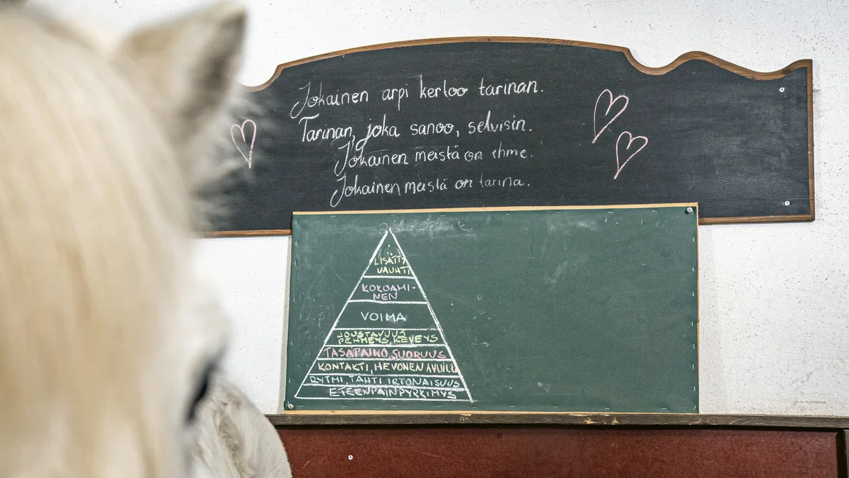  Tallin motto on ”Hoivaa ja tule hoivatuksi”. 