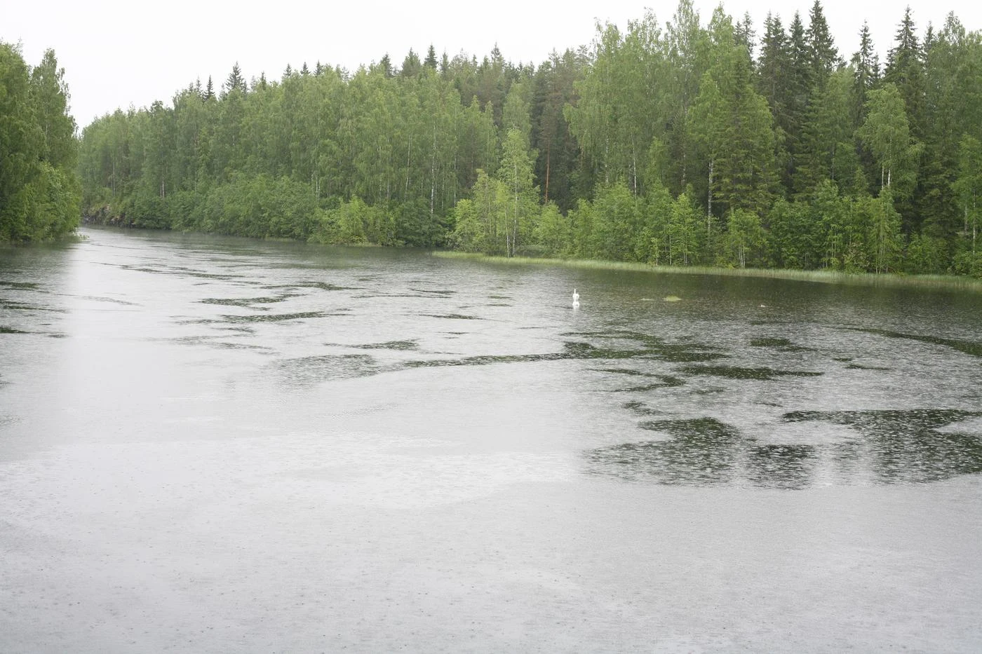 Sateinen vesistö