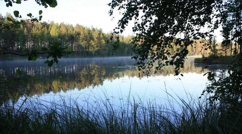 Elokuussa tyyni ja vähätuulinen jakso vaikutti osaltaan sähkön spot-hintaan. 