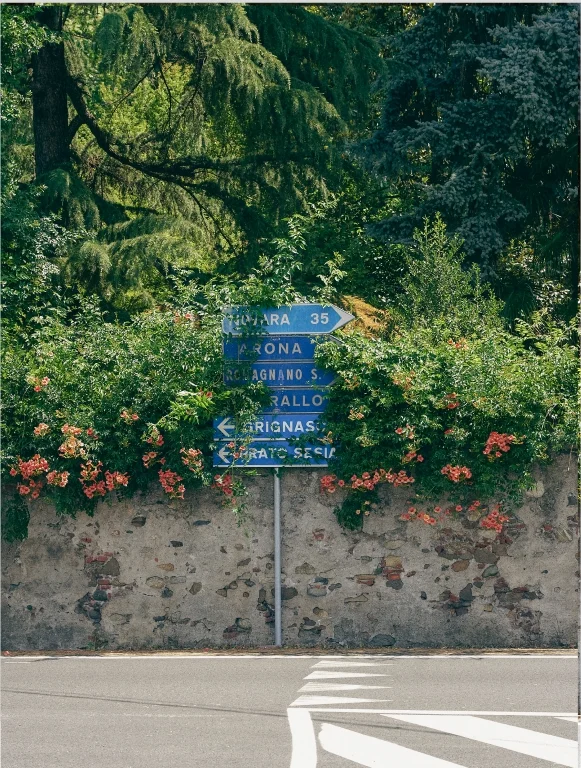 road crossing with street signs