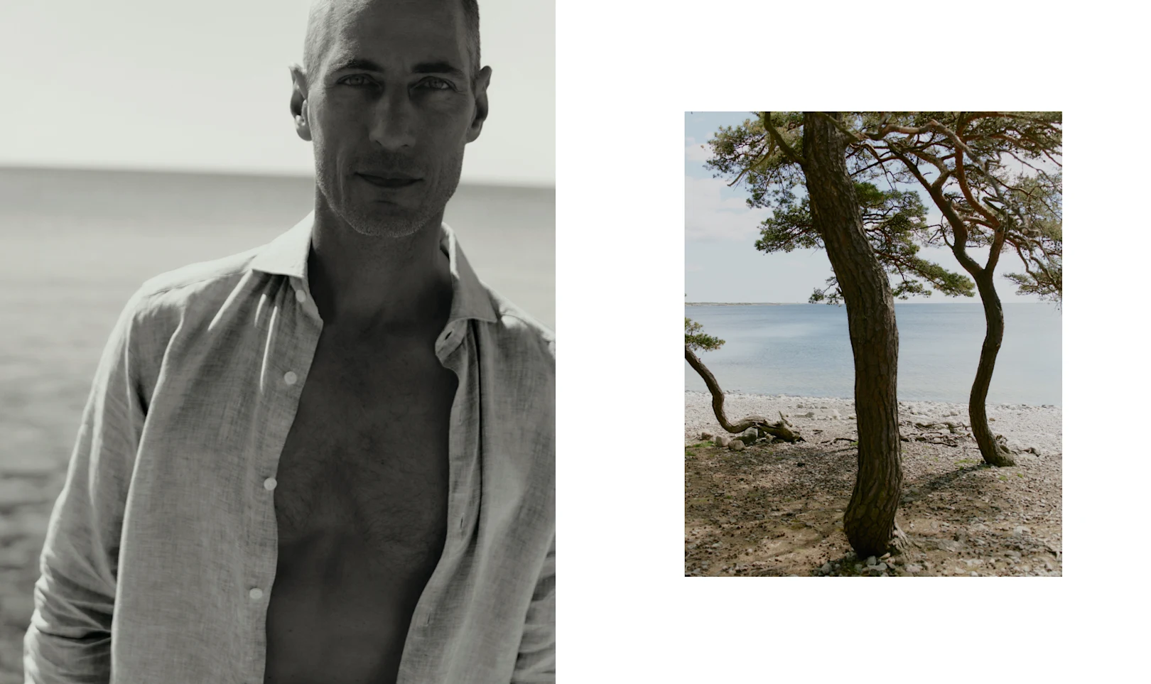 Linen shirt and trees