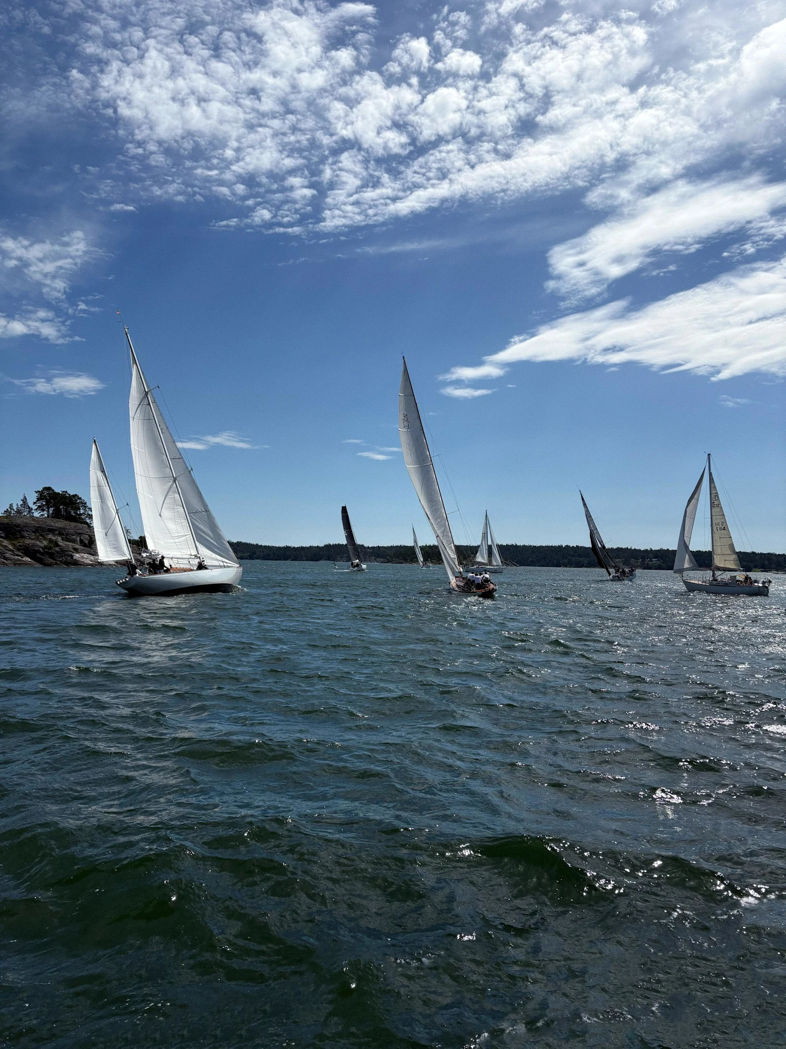 boats in passage during a sail race