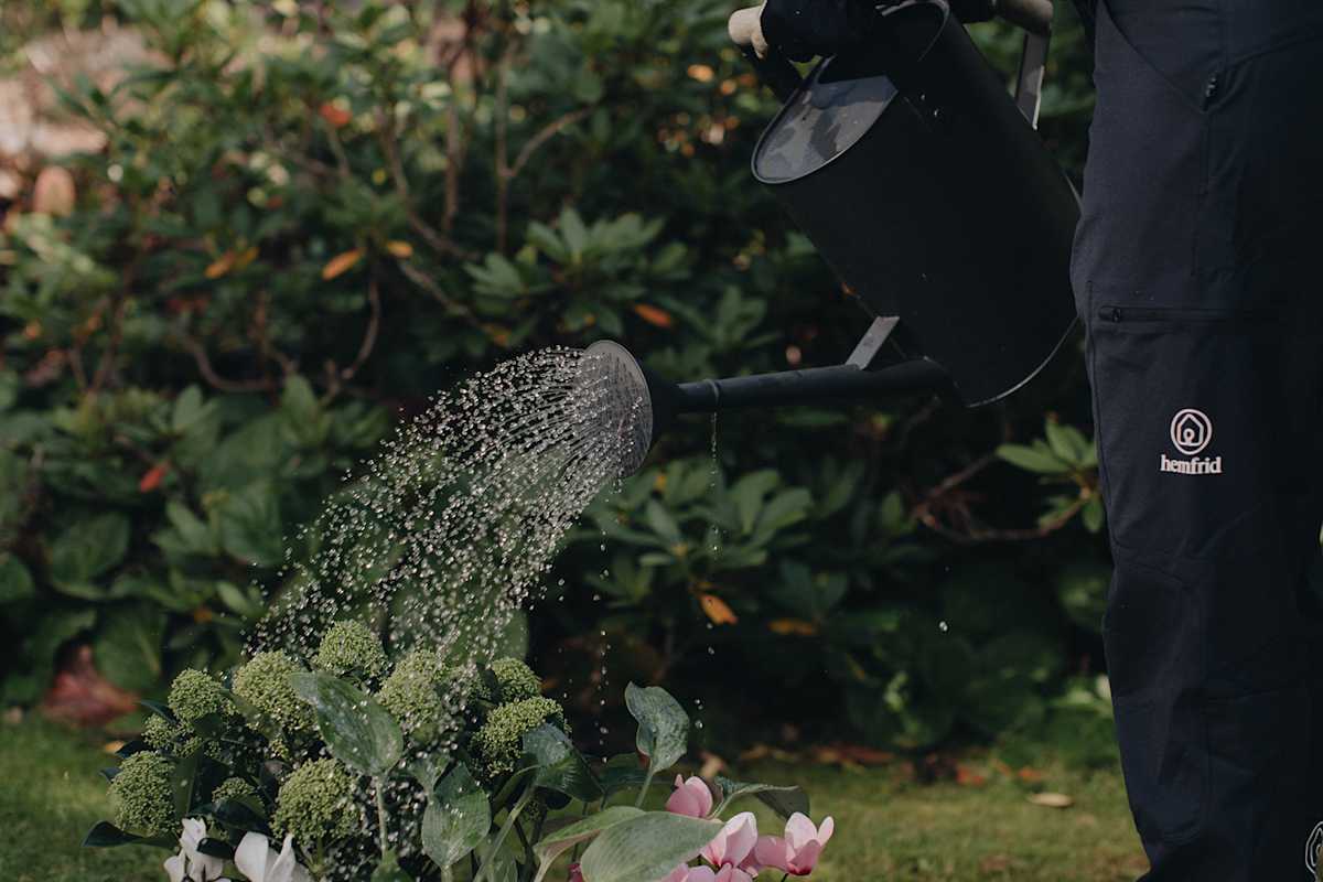 Person-watering-flowers