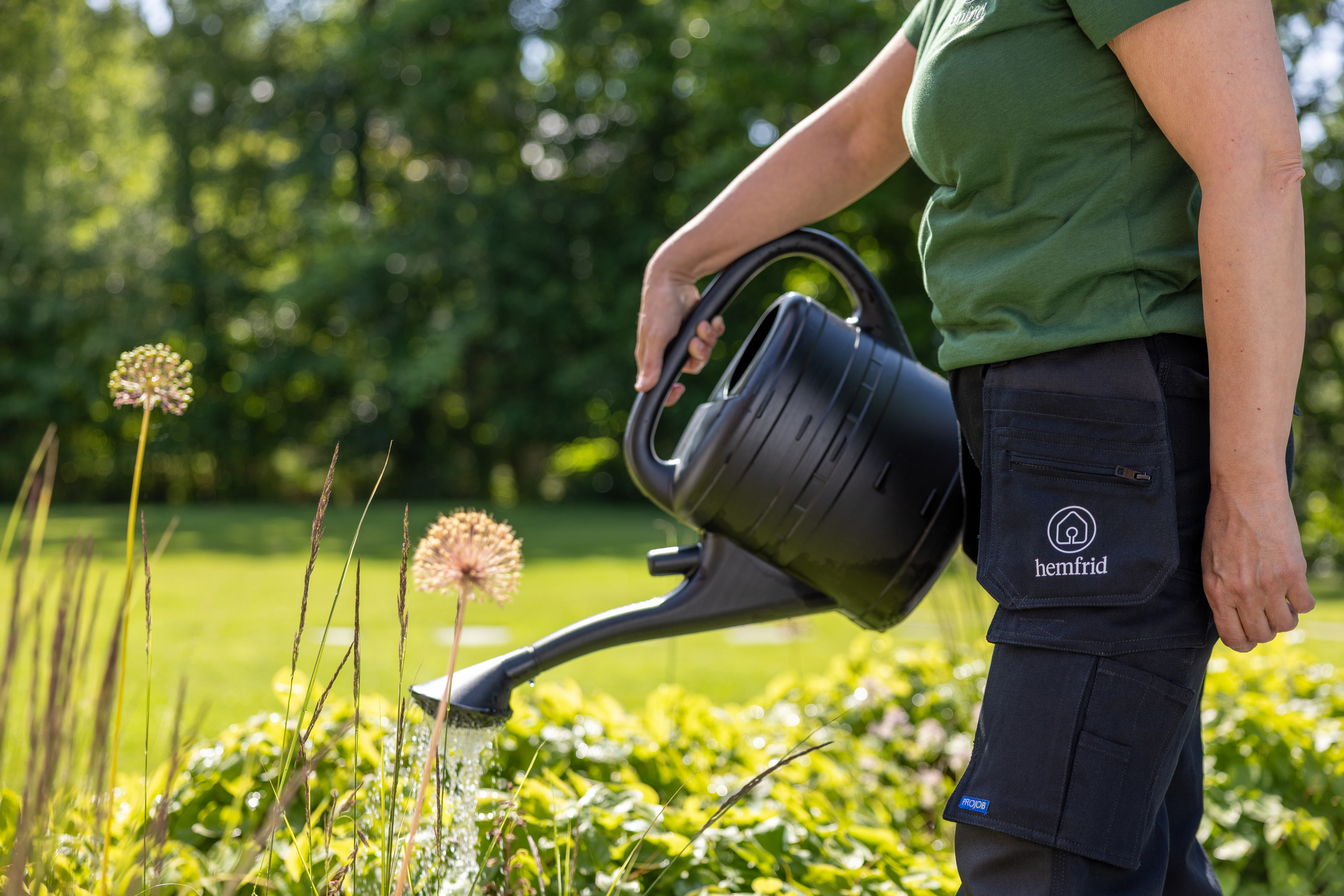 Person-watering-flowers