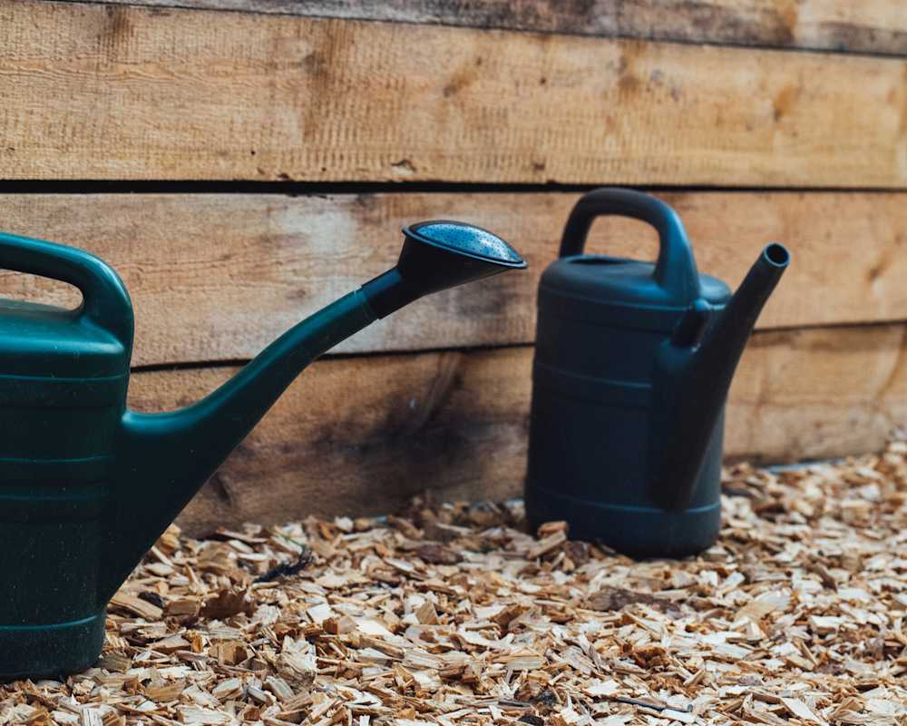 Watering-cans-planter-box