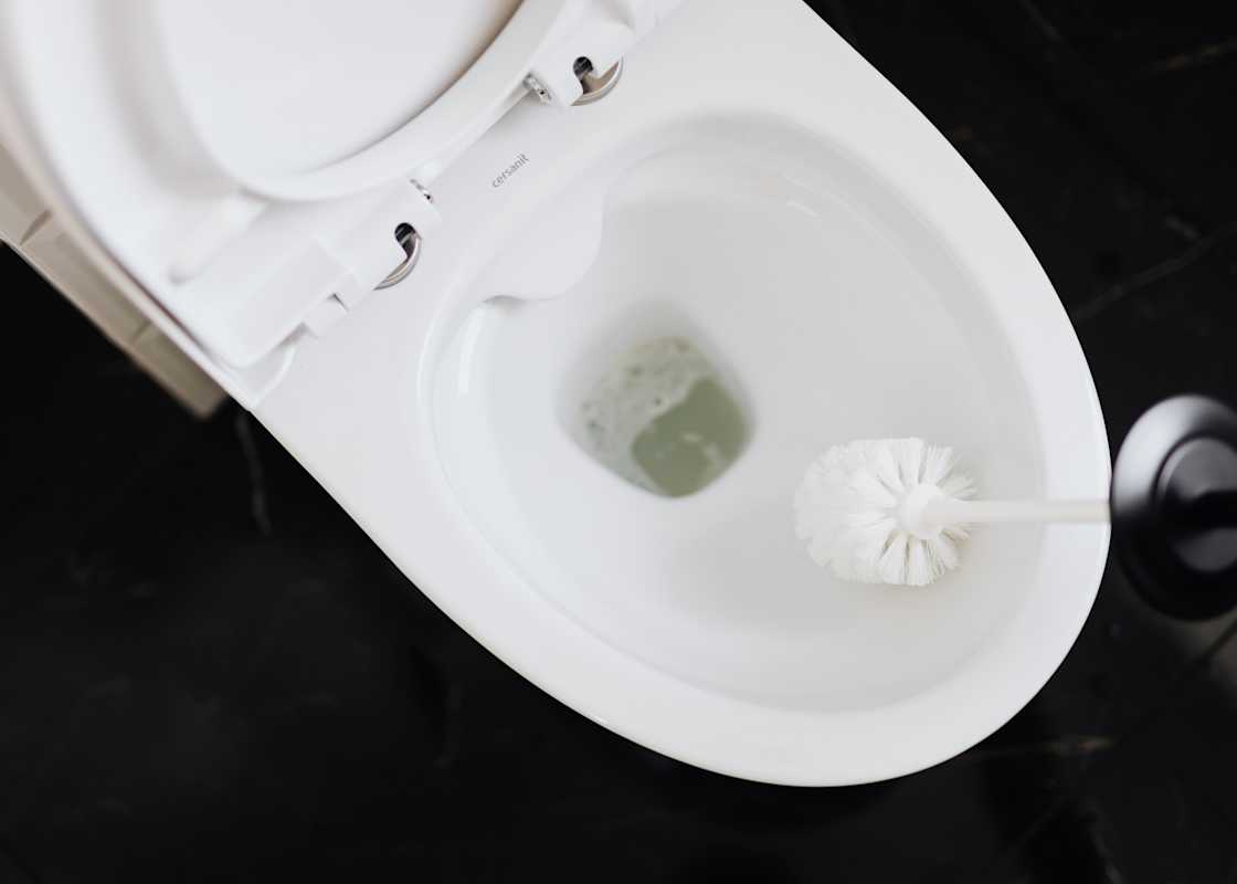 Person-cleaning-toilet