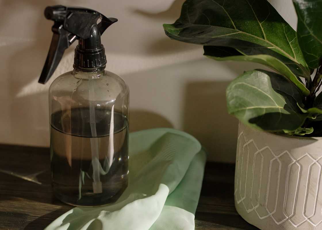 Ättika-sprayflaska-diskhandskar