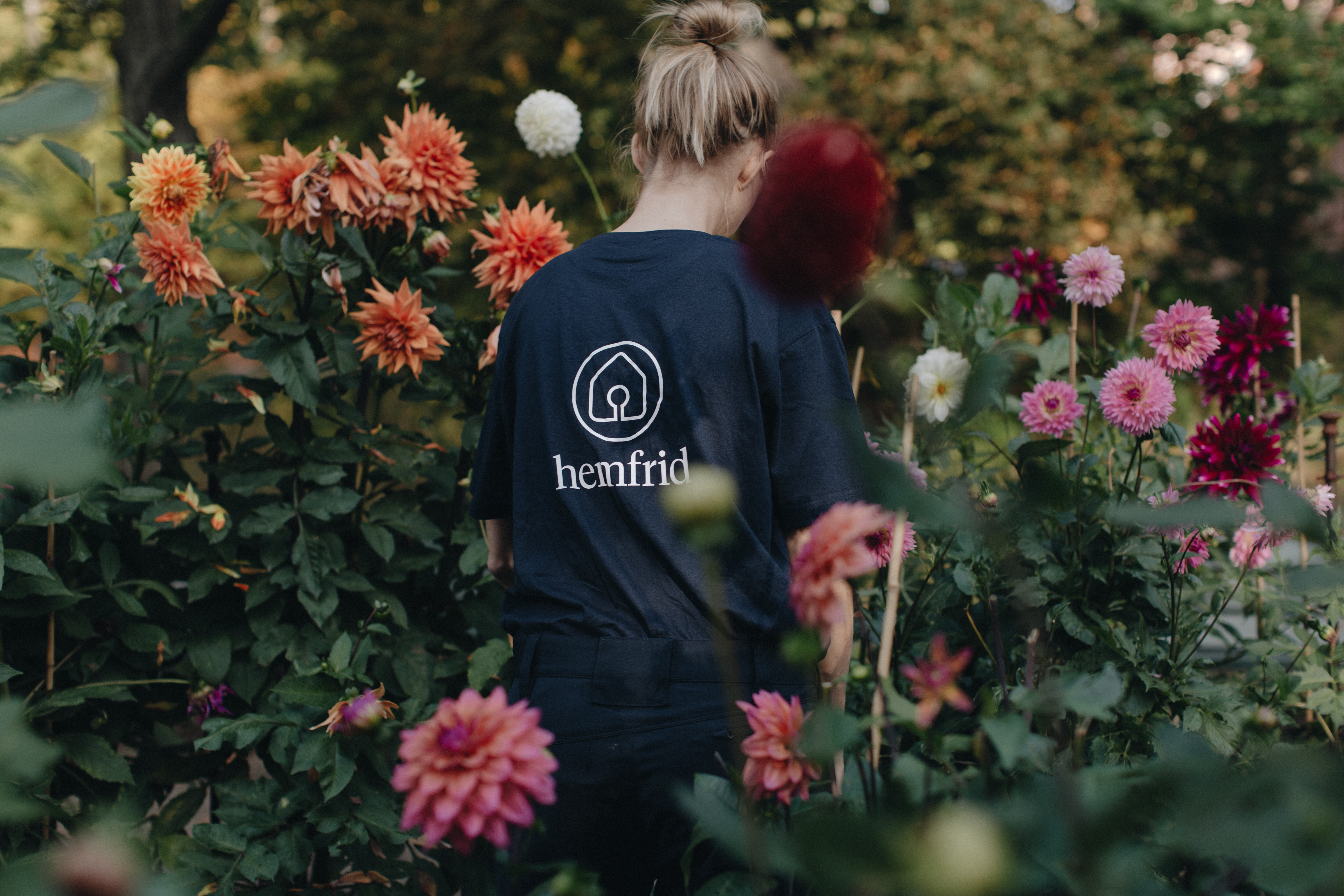 Person-standing-in-a-bush-with-flowers