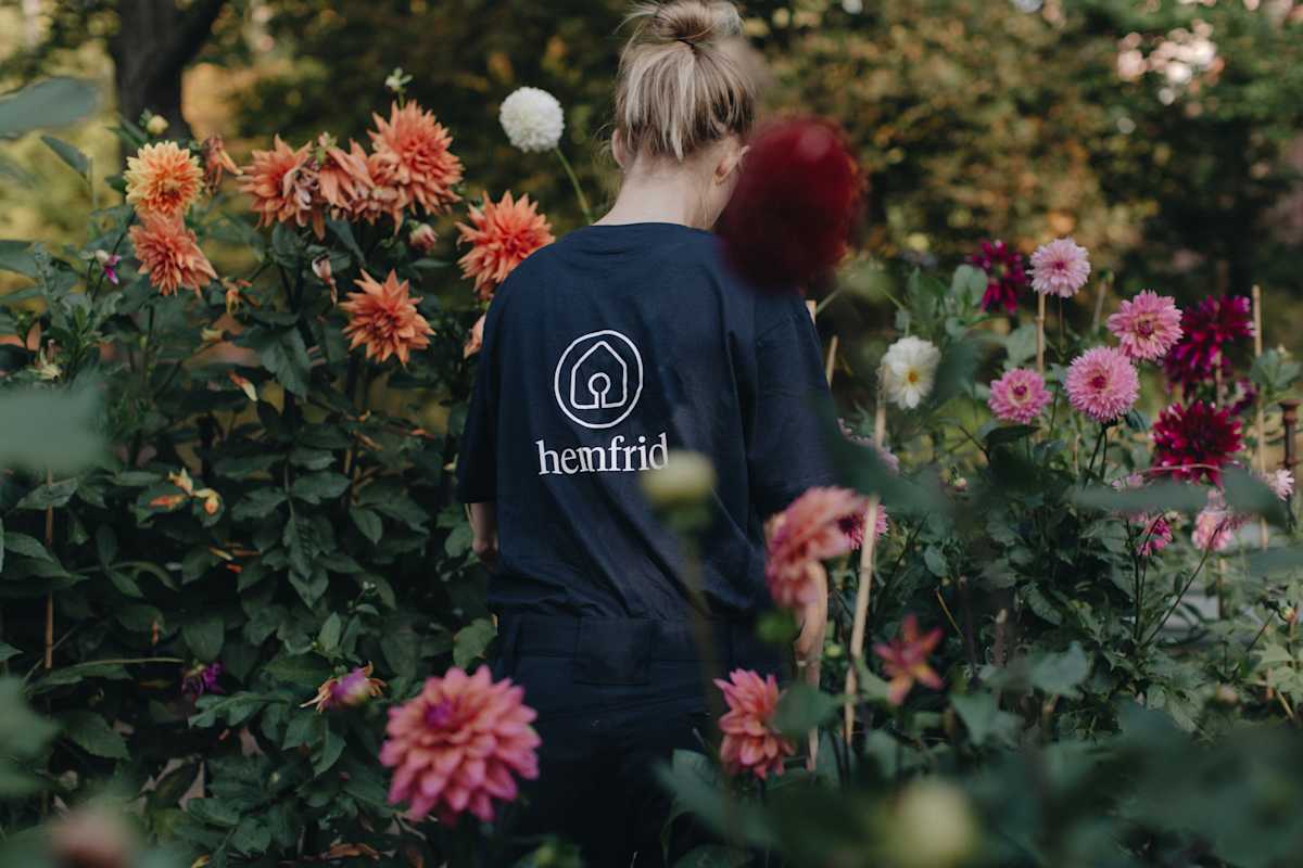 Person-standing-in-a-bush-with-flowers