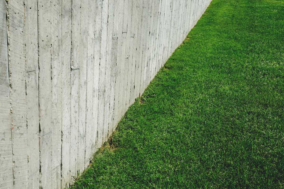 Concrete-wall-and-grass