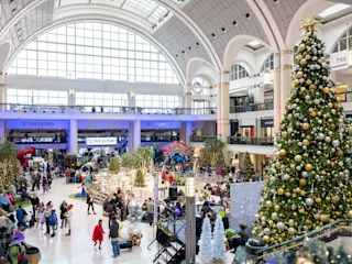 Interior of Winterland at Tower City. 