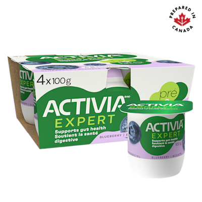 Blueberry Probiotic and Prebiotic Yogurt