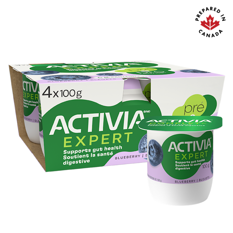 Blueberry Probiotic and Prebiotic Yogurt