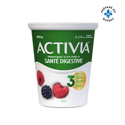 Yogourt aux fruits des champs