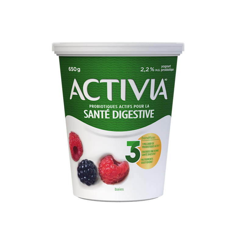 Yogourt aux fruits des champs