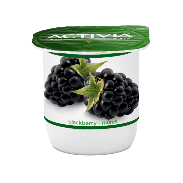 Blackberry yogurt