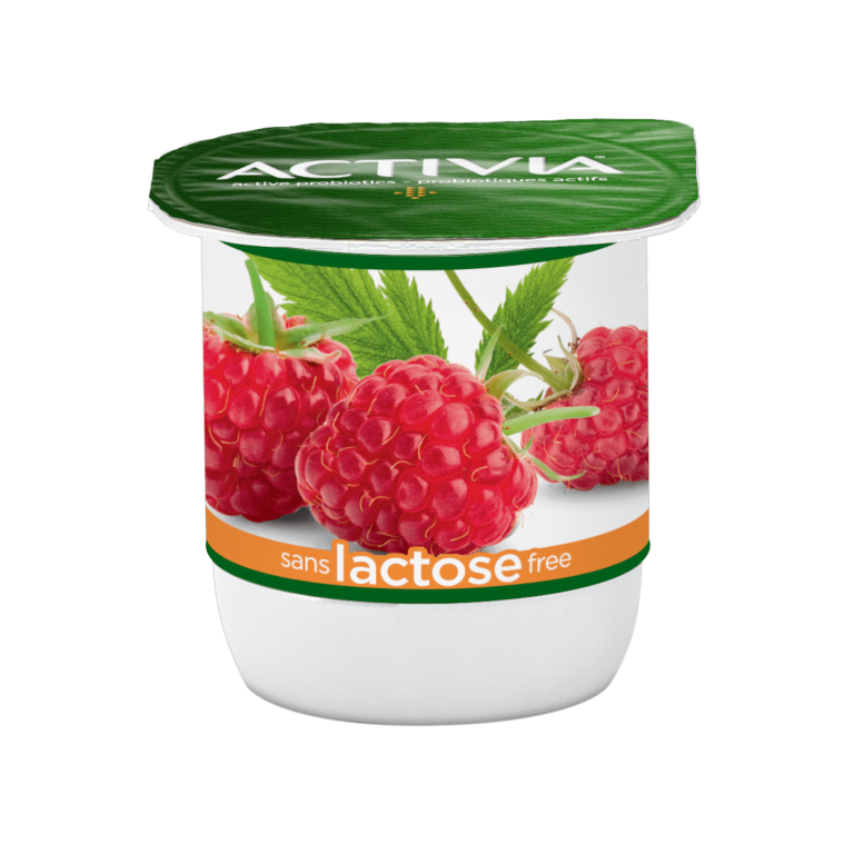 Raspberry Lactose Free Yogurt