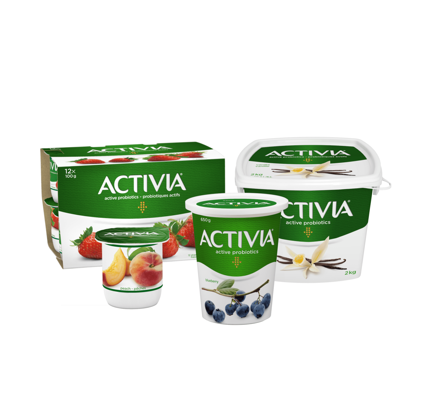 Plain Sugar | Canada Activia No Yogurt | Probiotic Added